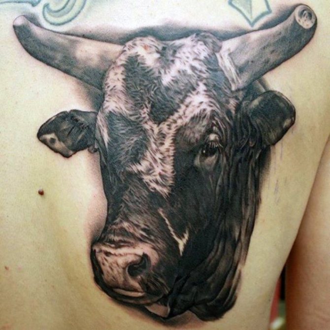 09-bull-head-tattoo-ideas
