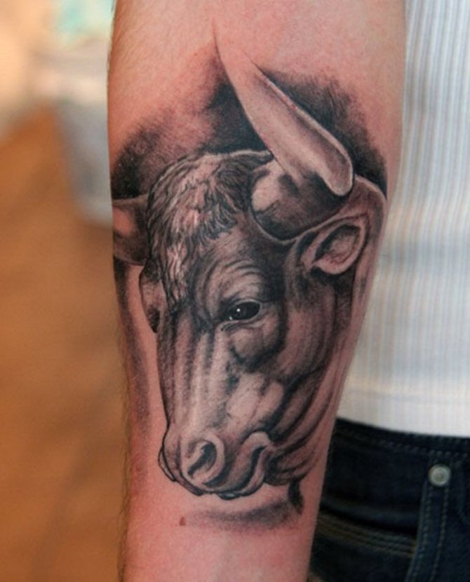 17-bull-tattoo-sleeve