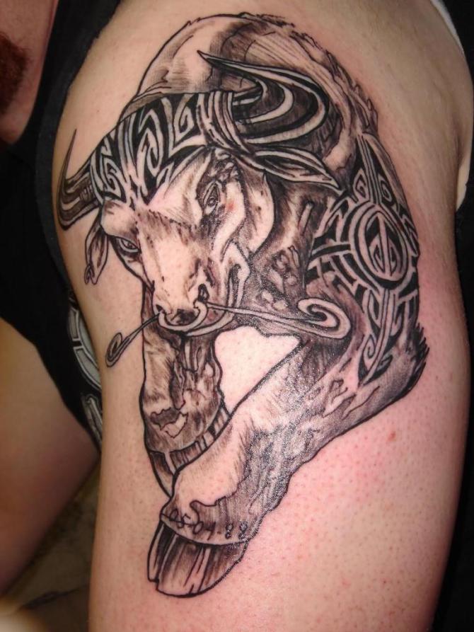 20-celtic-bull-tattoo-design