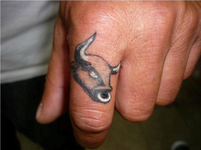 33-small-bull-tattoo