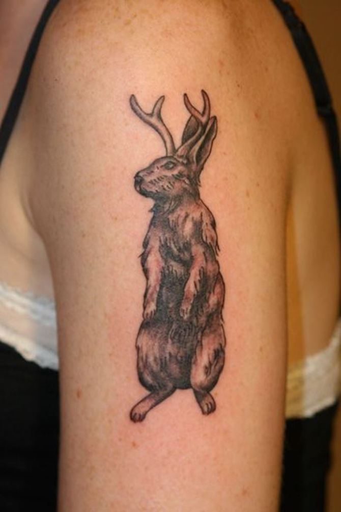 25 Rabbit Arm Tattoo - 30 Rabbit Tattoos