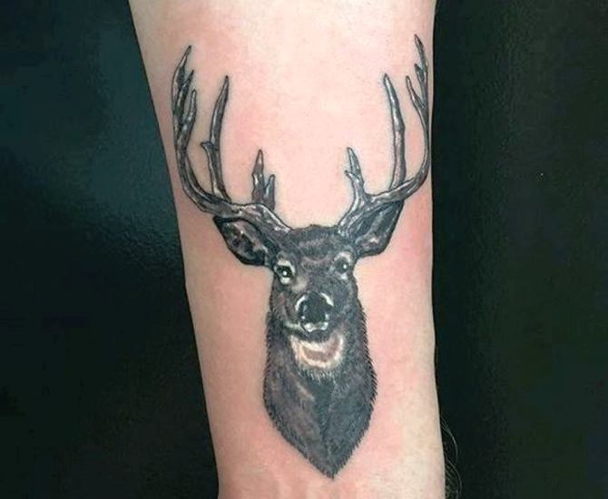 10 Deer Tattoo Arm - 30 Deer Tattoos