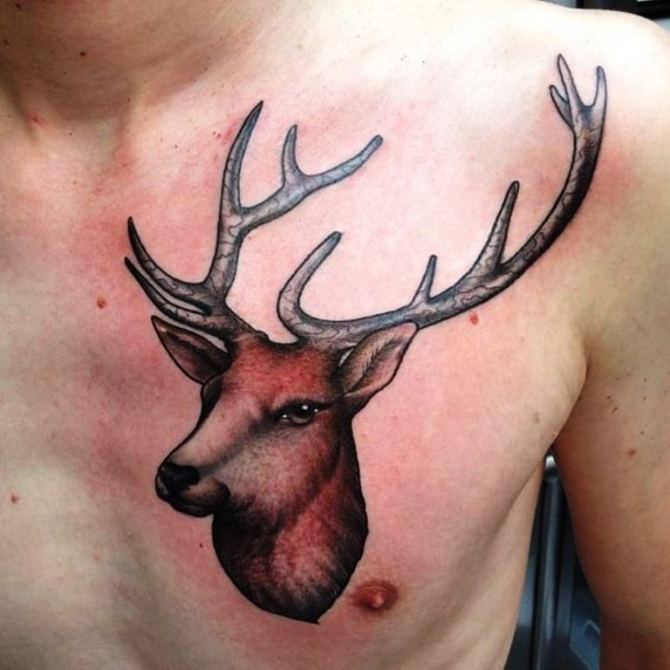 23 Old School Deer Tattoo - 30 Deer Tattoos