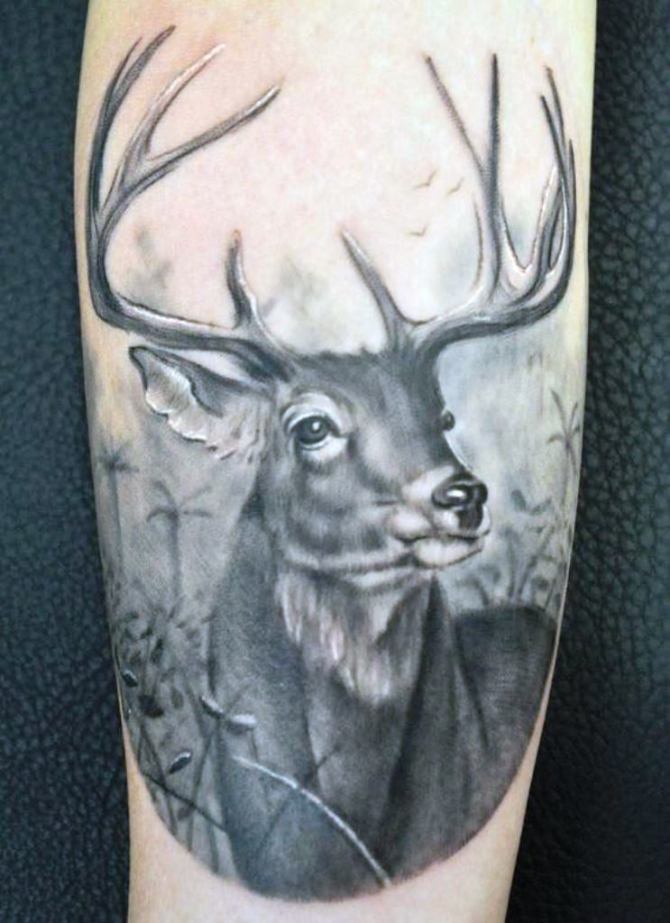 24 Realistic Deer Tattoo - 30 Deer Tattoos