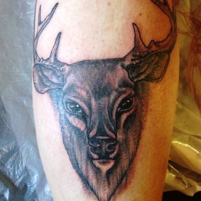 29 Traditional Deer Tattoo - 30 Deer Tattoos