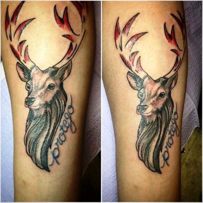 30 Tribal Deer Tattoo Designs - 30 Deer Tattoos