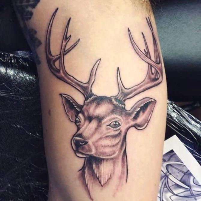 32 White Deer Tattoo - 30 Deer Tattoos