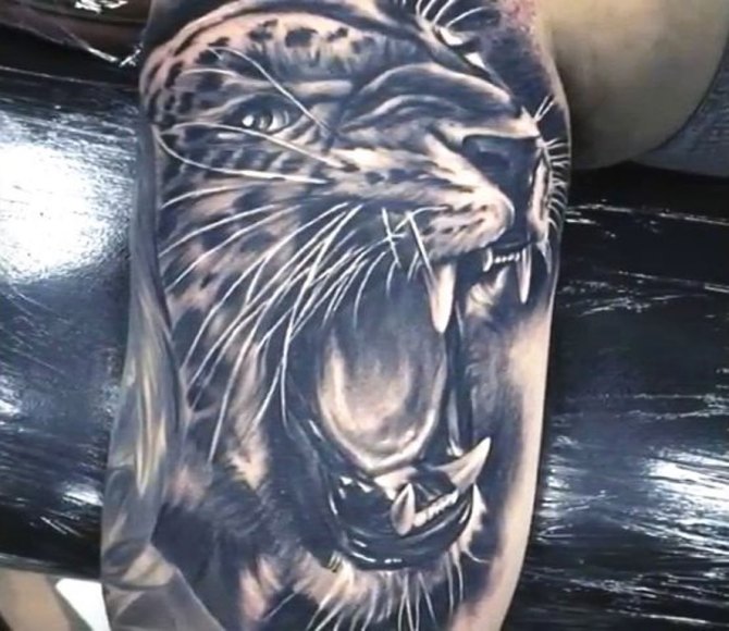 Jaguar Tattoo