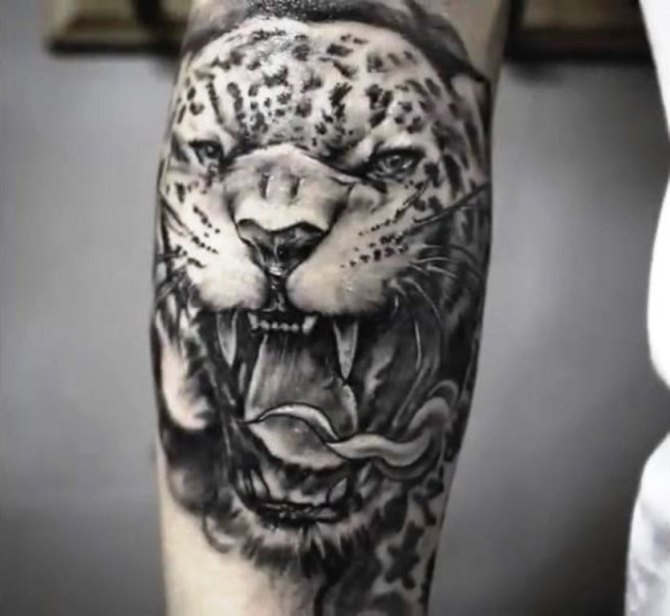 Black Jaguar Tattoo on Arm