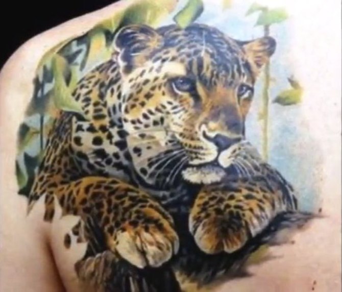  Jaguar Tattoo Colour