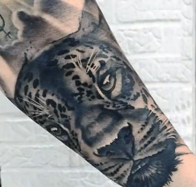 Jaguar Tattoo on Arm