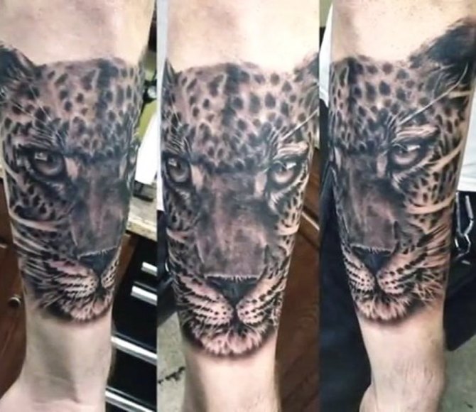 Jaguar Temporary Tattoo