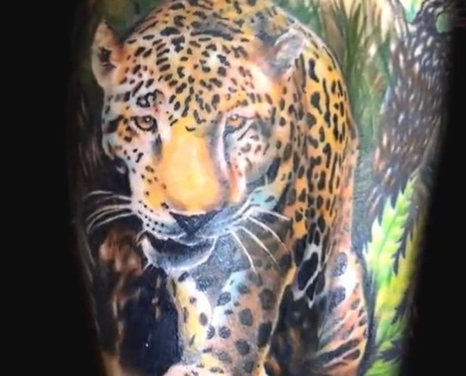 Tattoo Jaguar