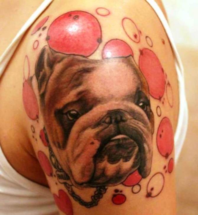 Bull Dog Tattoo
