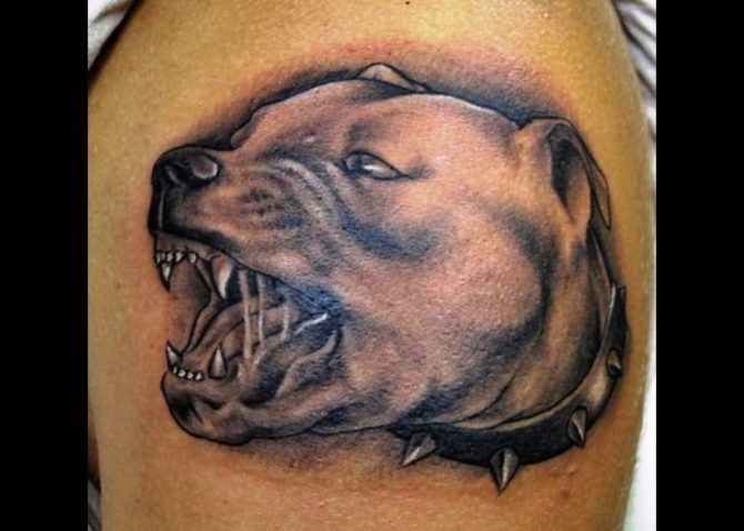 Devil Dog Tattoo