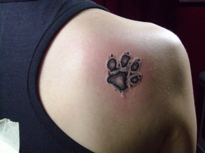 Dog Paw Print Tattoo Designs