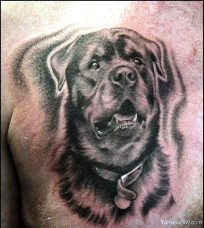 Tattoo of a Dog