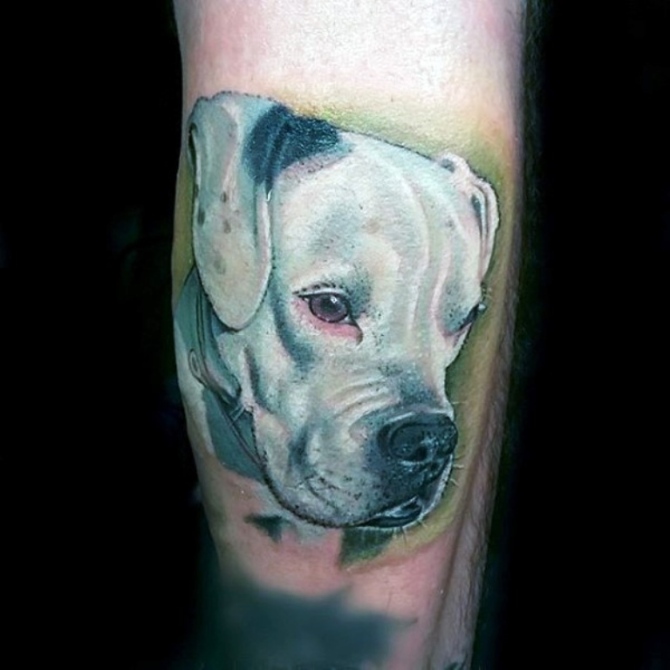 White Dog Tattoo
