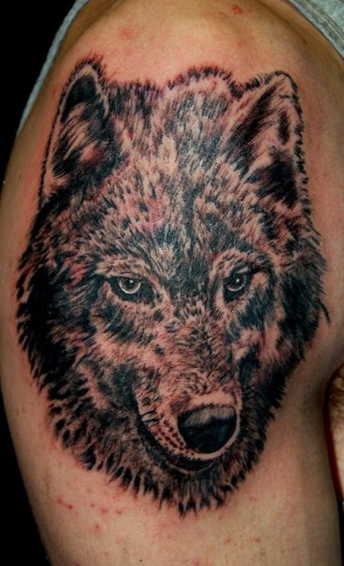 Gray Wolf Tattoo