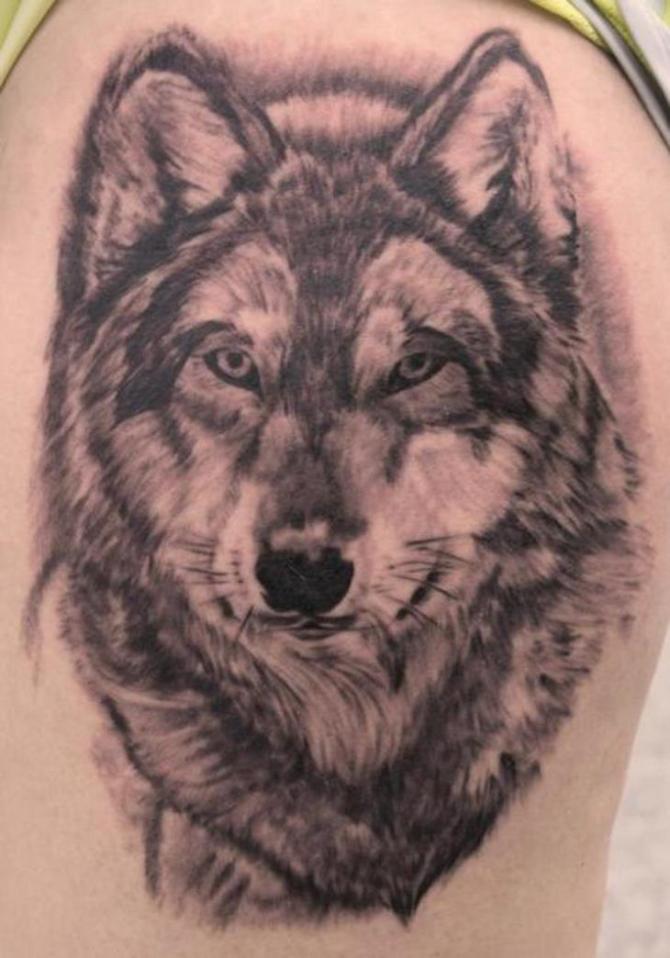 Grey Wolf Tattoo