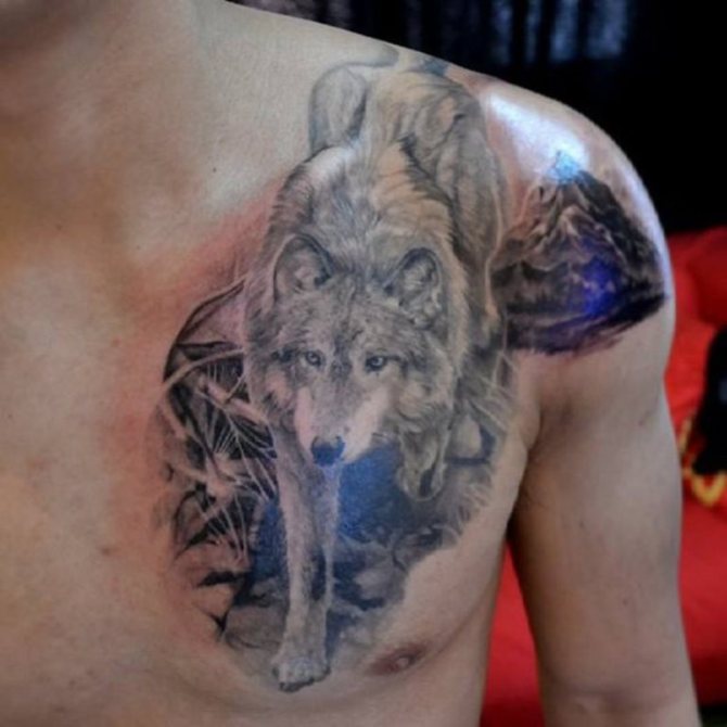 Realistic Wolf Tattoo