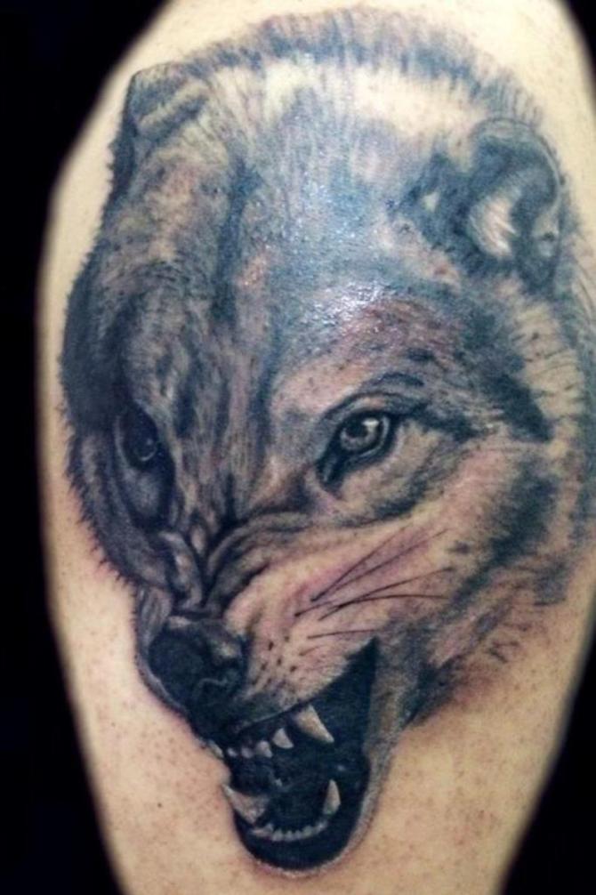 Snarling Wolf Tattoo