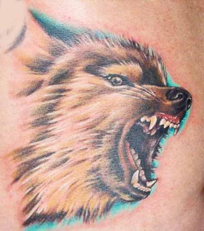 Wild Wolf Tattoo