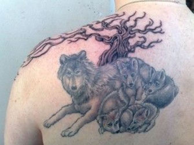 Wolf Cub Tattoo