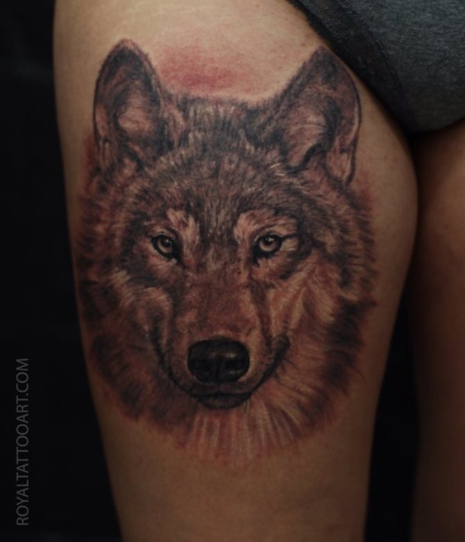 Wolf Portrait Tattoo