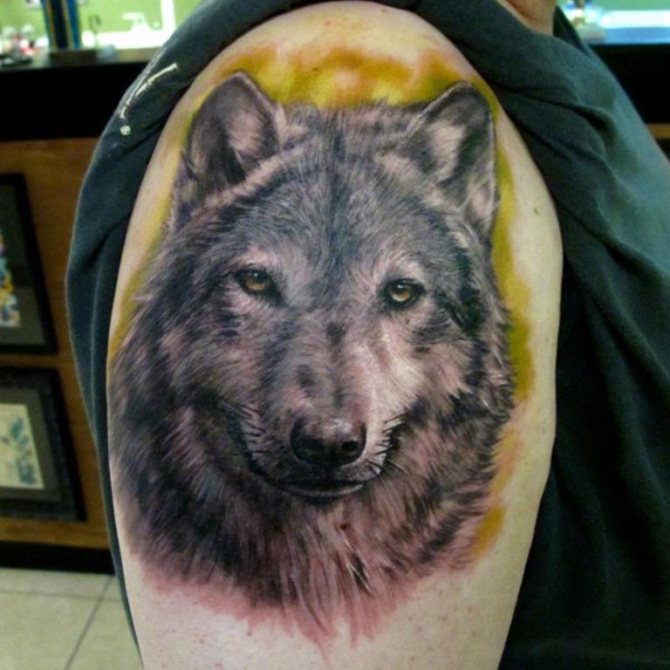 Wolf Shoulder Tattoo