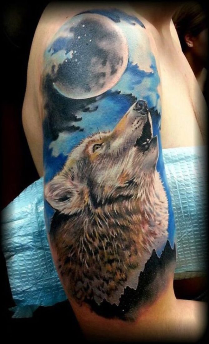 Wolf Tattoo Color