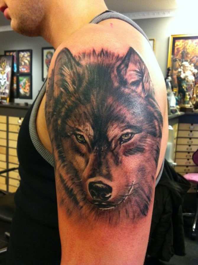 Wolf Tattoo for Guys