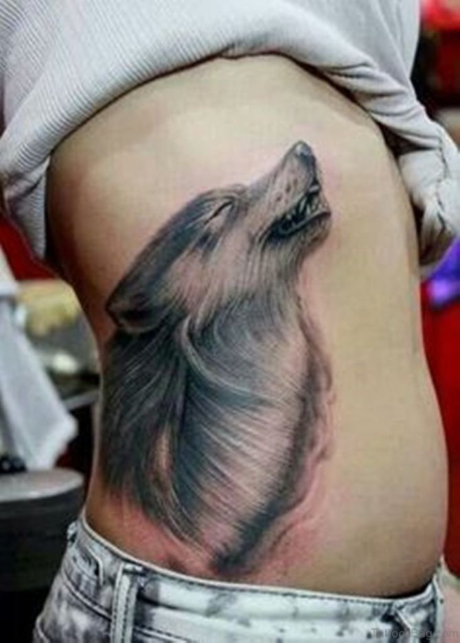 Wolf Tattoo on Ribs