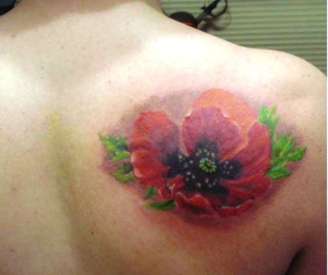 Red Poppy Flower Meaning