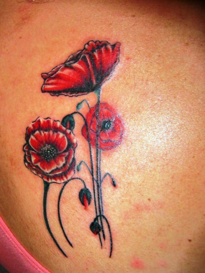 Poppy Tattoo Black and White