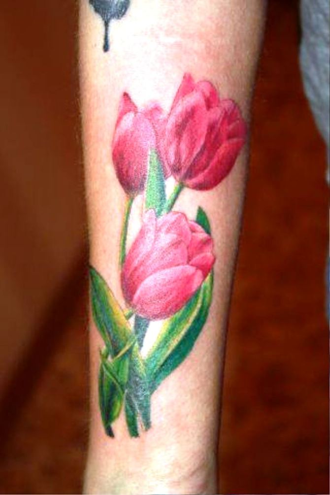 Tattoo Tulip - Tulip Tattoos 