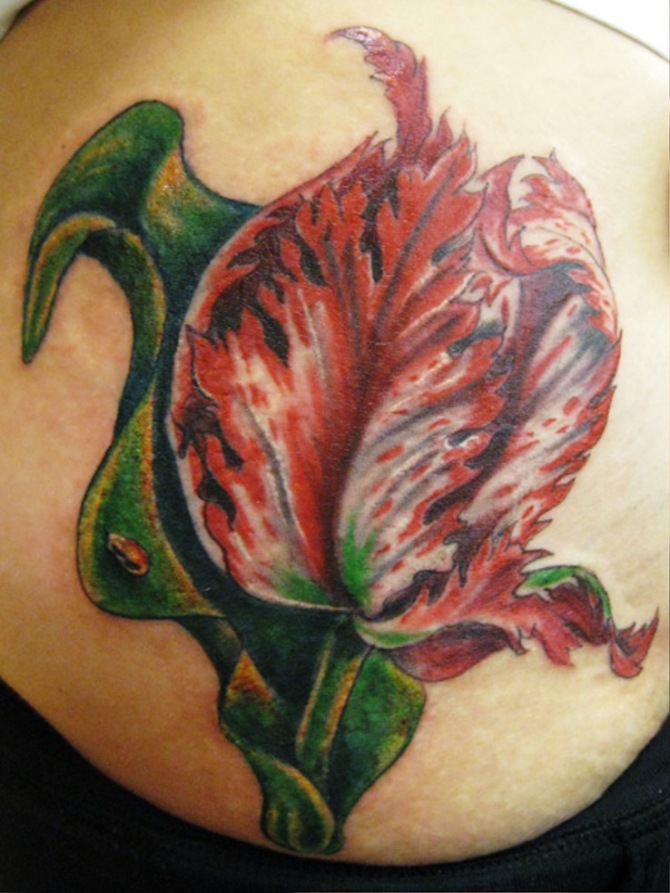  Tattoo Tulip - Tulip Tattoos 