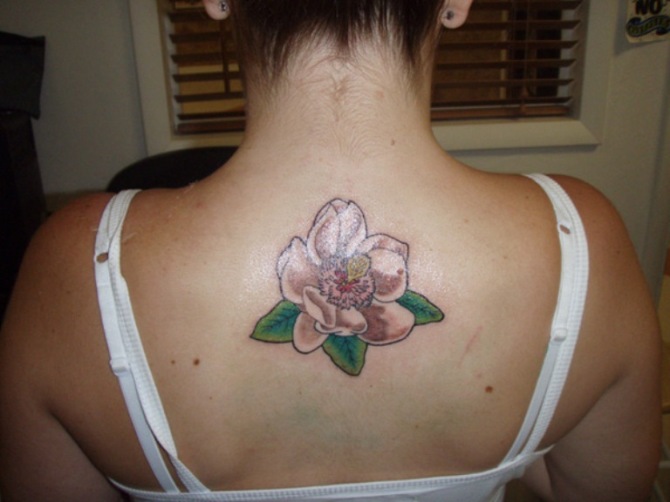  Magnolia Flower Tattoo - 20+ Magnolia Tattoos <3 <3