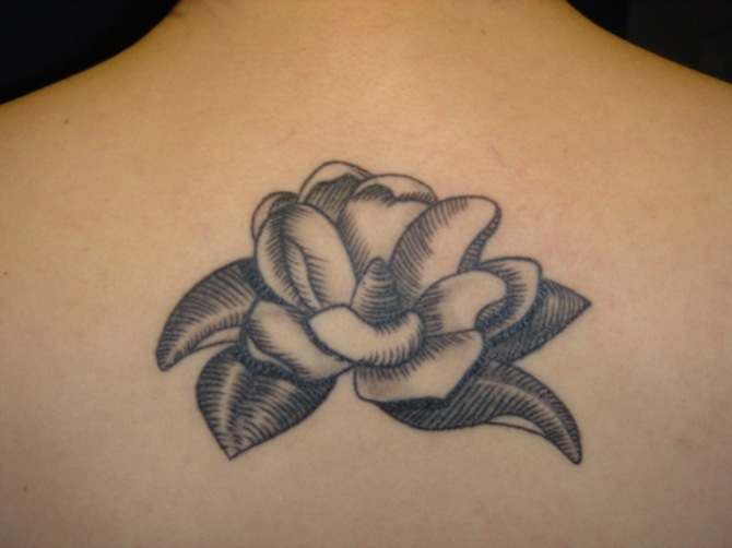  Magnolia Tattoo Black and White - 20+ Magnolia Tattoos <3 <3