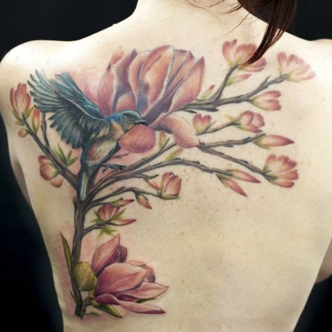  Magnolia Tree Tattoo - 20+ Magnolia Tattoos <3 <3