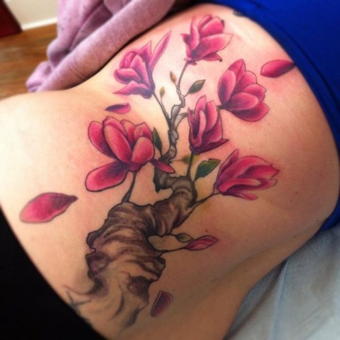 Magnolia Tree Tattoo Meaning - 20+ Magnolia Tattoos <3 <3