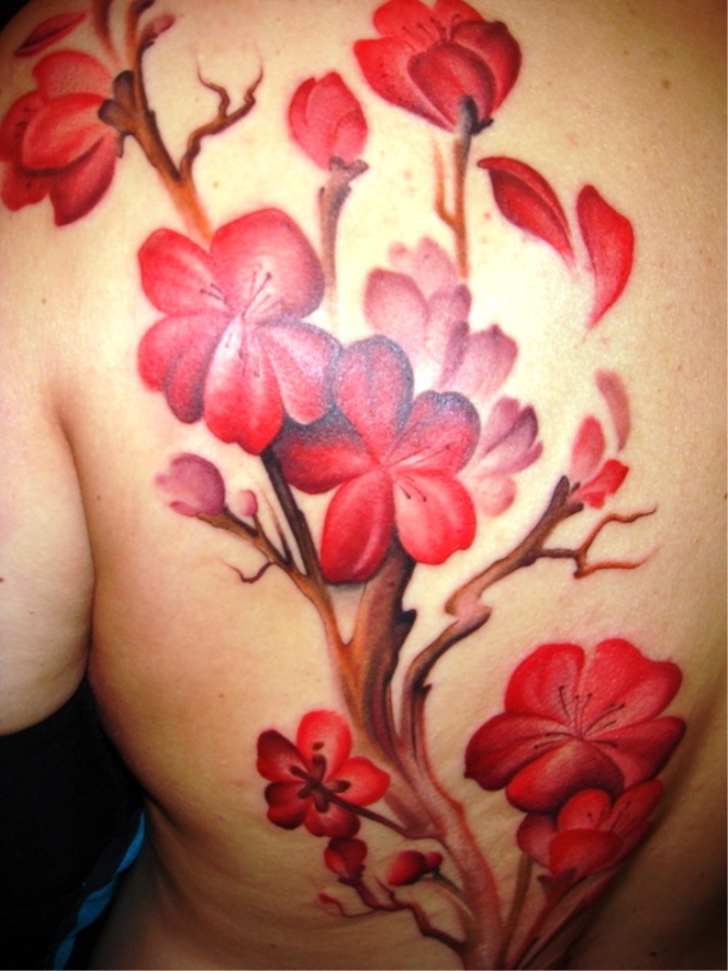 Cherry Blossom Back Tattoo - Cherry Tattoos