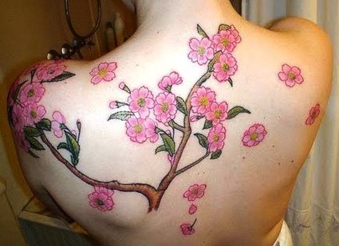  Cherry Blossom Back Tattoo - Cherry Tattoos