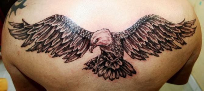  Eagle Tattoo Shoulder - Eagle Tattoos <3 <3