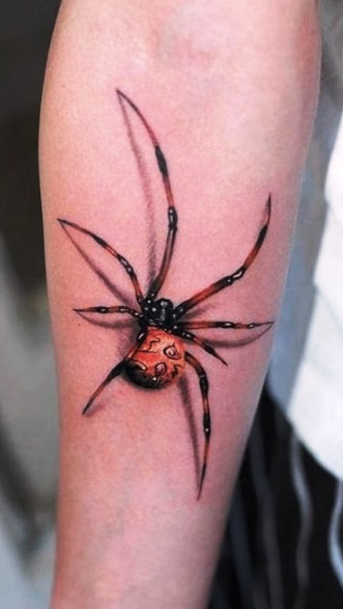 Spider Tattoo 3d - Spider Tattoos <3 <3