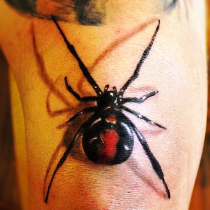 Spider 3d Drawings - Spider Tattoos <3 <3