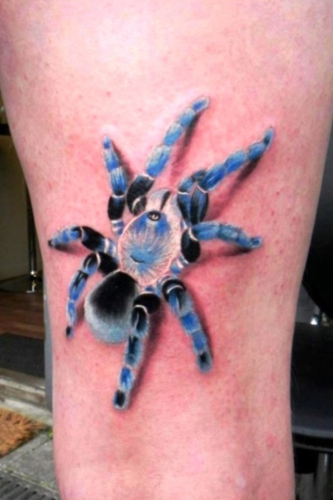 3d Spider Tattoo - Spider Tattoos <3 <3