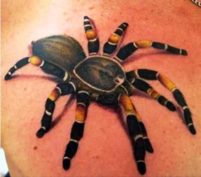 Tattoo Tarantula - Spider Tattoos <3 <3