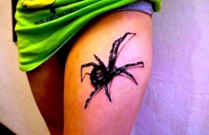 Tattoo of Spider - Spider Tattoos <3 <3