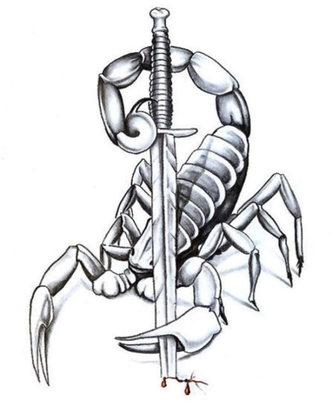 Scorpion Tattoo - Scorpion Tattoos <3 <3